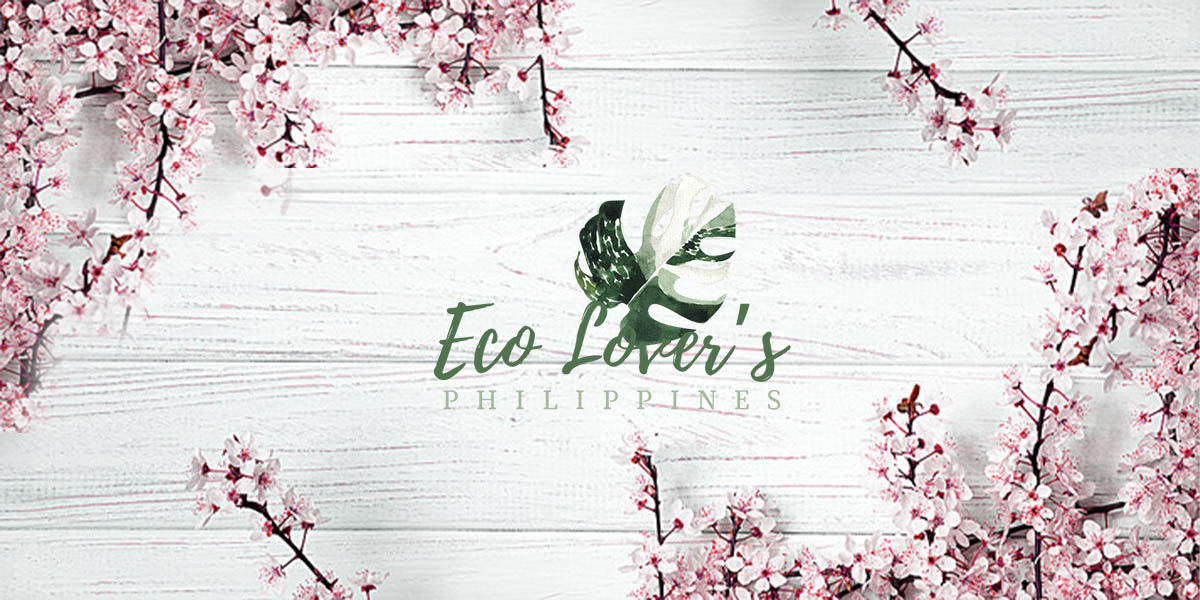 jennifercreativestudio-logo-design–slider-1